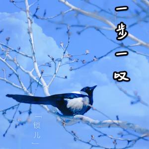 一步一叹