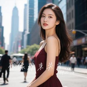 你像那束关了灯的光