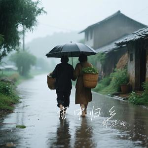 雨中归乡