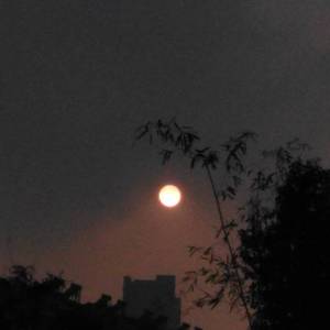 小宇（翻自 蓝心羽）