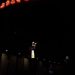 撒酒疯