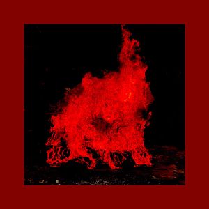 every new year feels the same