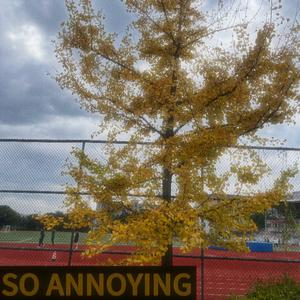 复杂的（Prod By 牙刷/李小眼）