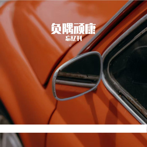 夏木间的蝉鸣之约