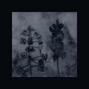 garden of earthly delights