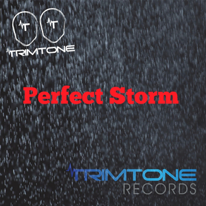 Perfect Storm (Tuff Dubs Mix)