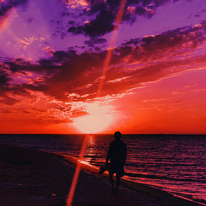 The Human Experience