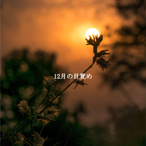 Background for Four Seasons