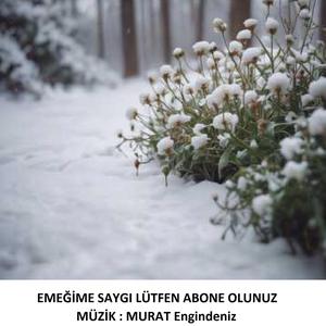 TEK HARF KALDI O DA SENİN YAZGINDI _TEK HARF KALDI O DA SENİN YAZGINDI _(AYŞEGÜL TOPAÇ'ın şiirinden)