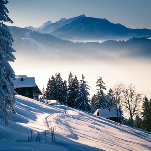 江湖之间 曹雨航