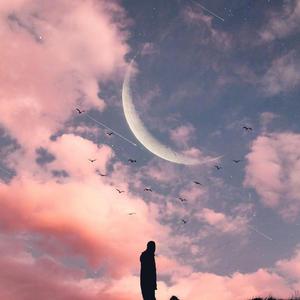 无味的灵魂v-断电抒情版(Remix)