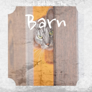 After The Boy Gets The Girl