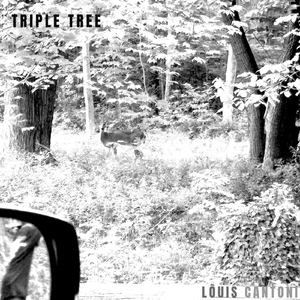Triple Tree