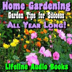 Tips for Creating a Low Maintenance Garden