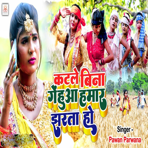 Katale Bina Gehuna Hamar Jharata Ho