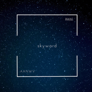 Analoge