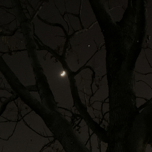 承剑（女声版）