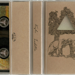 Transmutation of Consciousness