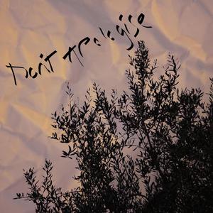 Don't Apologise (Acoustic Version)