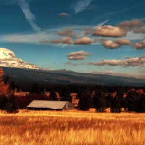 兔子爱上了窝边草