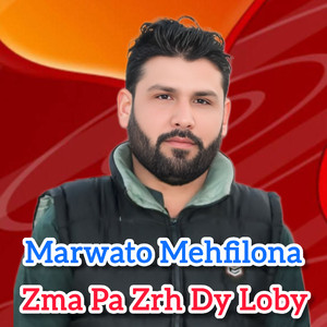 Zma Pa Zrh Dy Loby