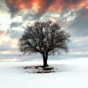 我的冷冰冰的心