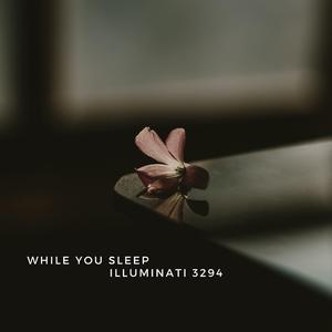 While You Sleep