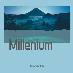 Millenium