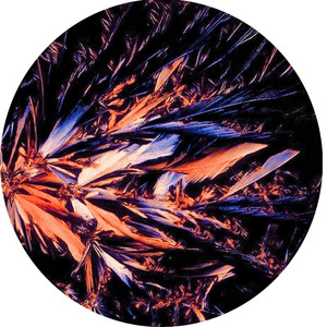 Serial Experiment 01