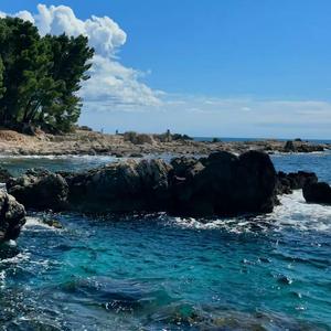 第三首：逻辑清醒神曲（一秒专注）