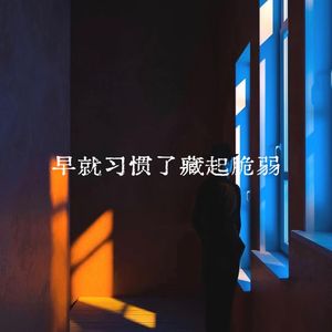 早就习惯了藏起脆弱