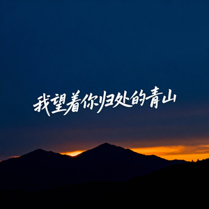我望着你归处的青山