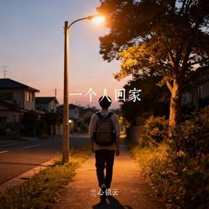 一个人回家