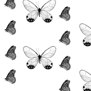 ハーフムーン・セレナーデ（Cover 河合奈保子）