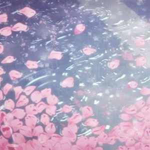 cherry blossom scatter