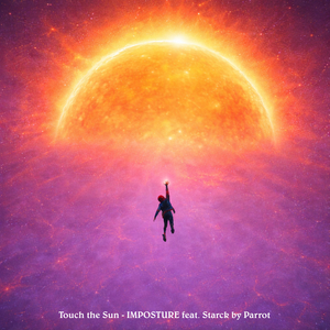 Touch the Sun
