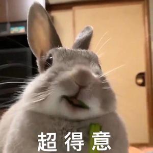 吟沧浪（翻自 胡夏）