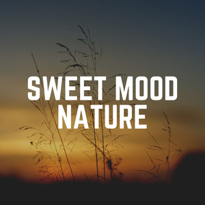 30 Beautiful Nature Sounds, Pt. 9