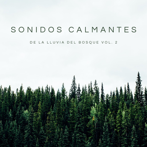 Gotas De Lluvia Mayas