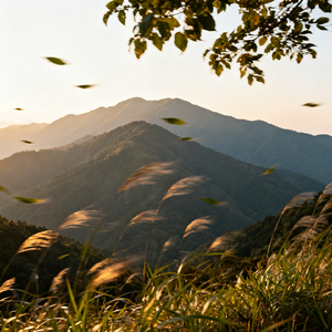 山风寄语