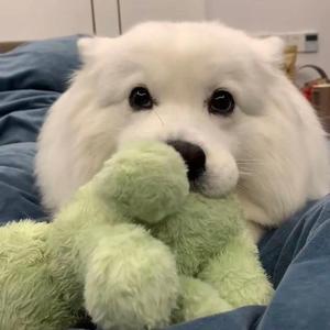 王梓钰-361（DJ Rpg remix）