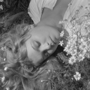 Берёзы(白桦)