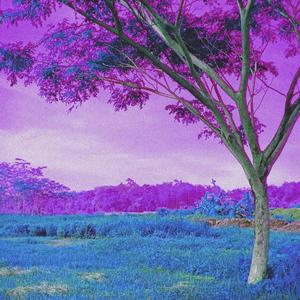 101 cypher (ultra mixx)