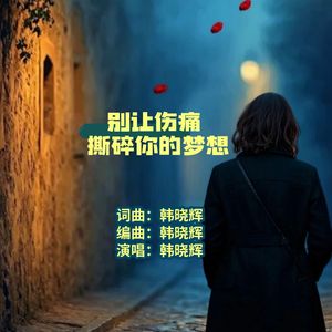 别让伤痛撕碎你的梦想   韩晓辉 伴奏