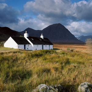 除了你我谁都不爱