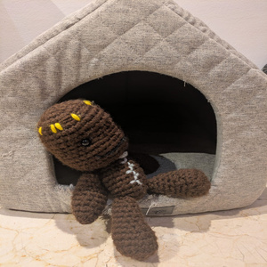 Sackboy