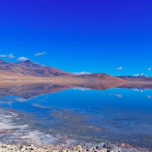 淡忘你的模样 (7)