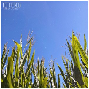 Tethered