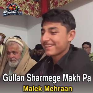 Gullan Sharmege Makh Pa