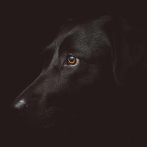 Young Money Get Fame. (Prod.By Dirty Moon)